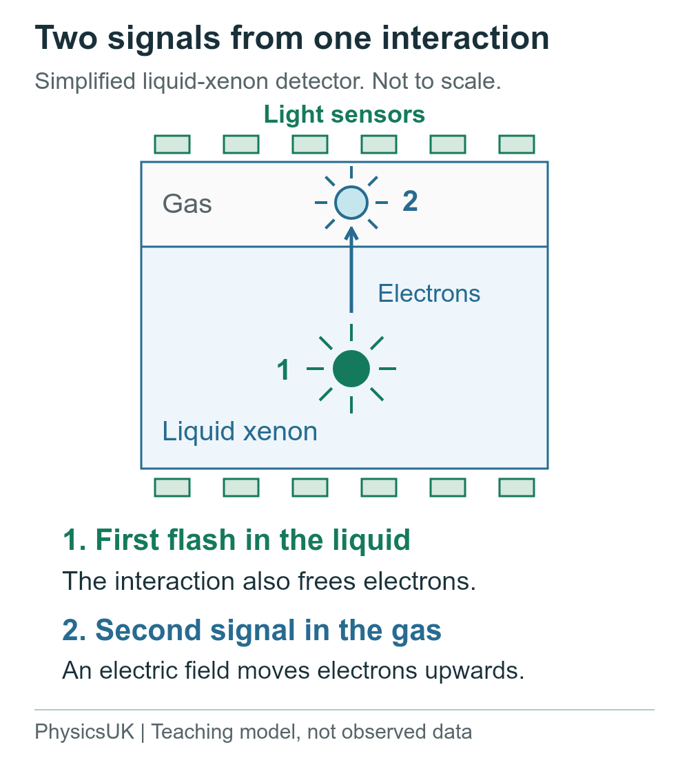 Simplified xenon detector: an interaction produces a first light flash and frees electrons; electrons move upwards to gas and produce a second light signal.