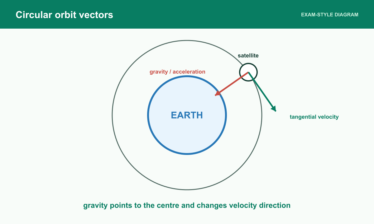 A satellite has tangential velocity and gravitational force and acceleration directed radially towards Earth.
