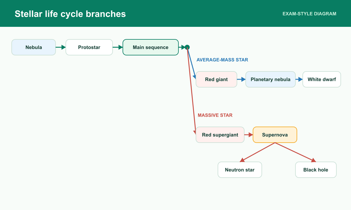 A labelled flow branches from main sequence to average-mass and massive-star outcomes including planetary nebula.