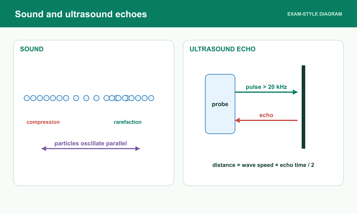 A longitudinal sound wave has compressions and rarefactions and an ultrasound pulse reflects from a material boundary.