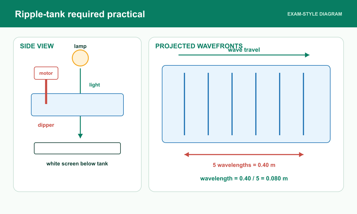 A ripple tank has a lamp, dipper, straight wavefronts, screen and ruler measuring several wavelengths.